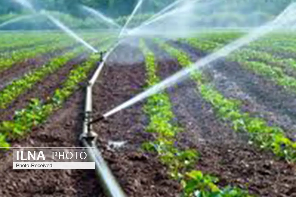 رتبه یک  قزوین در اجرای سامانه های نوین آبیاری 