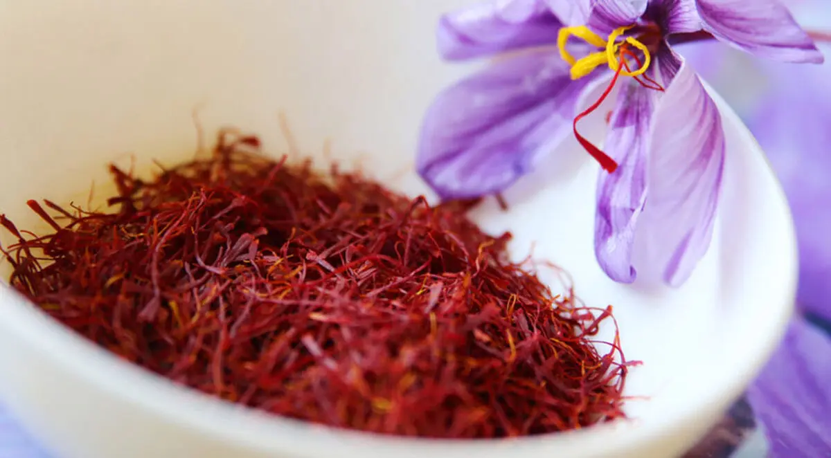 واگذاری اختیارات ملی حوزه زعفران به خراسان رضوی