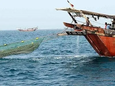 صید ترال با مجوز شیلات انجام می‌شود 
