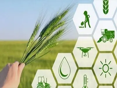 اجرای الگوی کشت وظیفه اصلی وزارت جهاد کشاورزی است