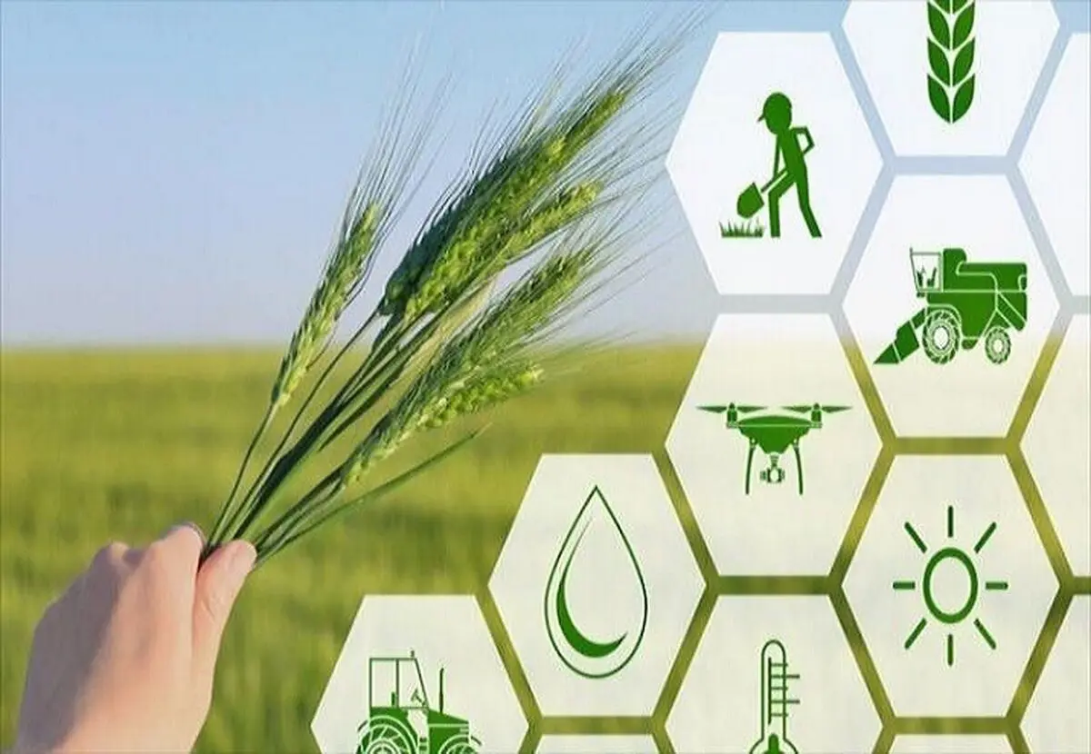 اجرای الگوی کشت وظیفه اصلی وزارت جهاد کشاورزی است