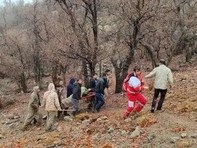 مصدومیت محیط‌ بان پارک ملی دنا در درگیری با شکارچیان 