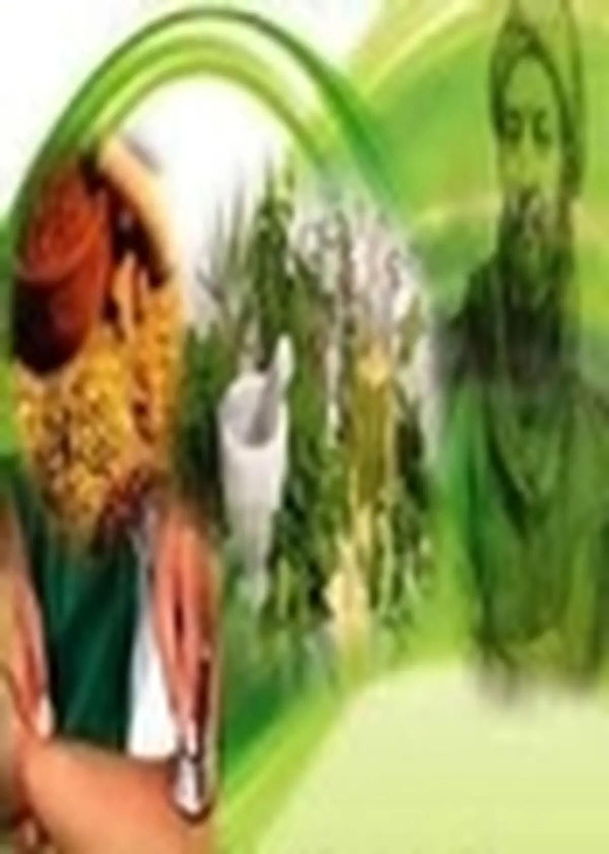 ثبت نام دوره‌های آموزشی کوتاه مدت طب سنتی در البرز آغاز شد