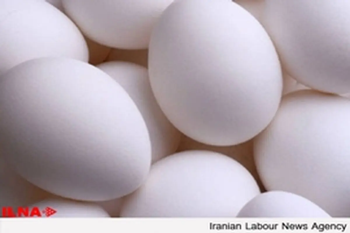 طی ۵ ماهه ابتدای سال ۲۶ میلیون جوجه ریزی شده است