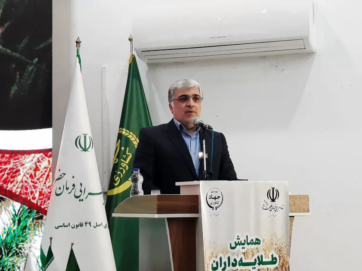 مازندران بر اولویت‌های کشاورزی و صادرات متمرکز شد؛ رفع مشکلات مرکبات و حمایت از برنج‌کاران در دستور کار