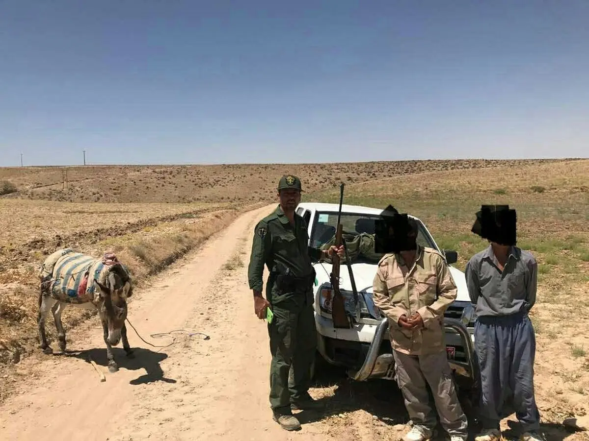 دستگیری 2 شکارچی غیرمجاز در طارم سفلی 