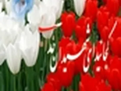 تشیع پیکر جانباز ۷۰ درصد زنجانی پس از تحمل سال‌ها درد و رنج