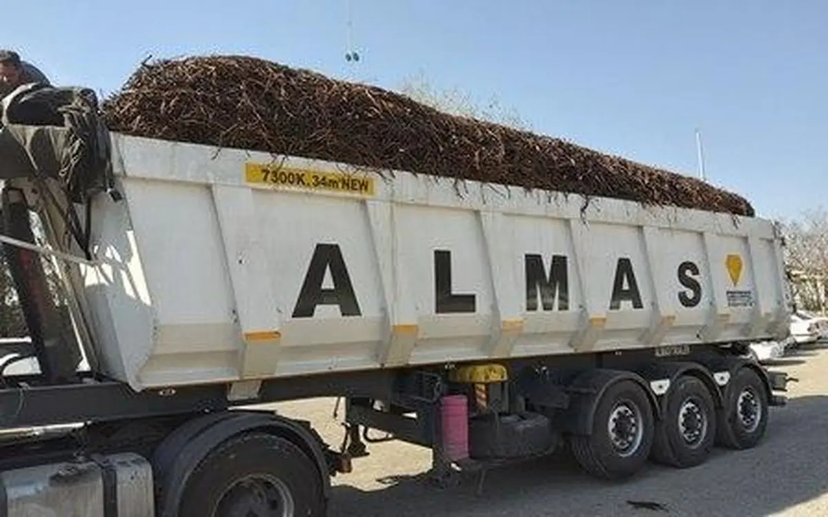 توقیف یک دستگاه تریلر حامل ریشه شیرین بیان غیر مجاز