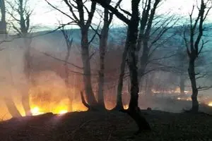 دستگیری ۲۲ نفر در ارتباط با آتش سوزی جنگل های کهگیلویه و بویراحمد 