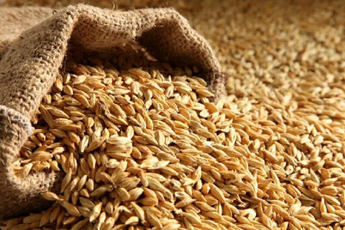 از وعده‌ بهبود تا واقعیت‌های تلخ بازار ارز و کالاهای اساسی