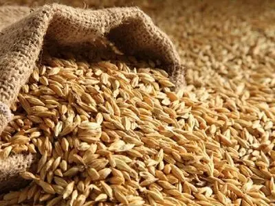از وعده‌ بهبود تا واقعیت‌های تلخ بازار ارز و کالاهای اساسی