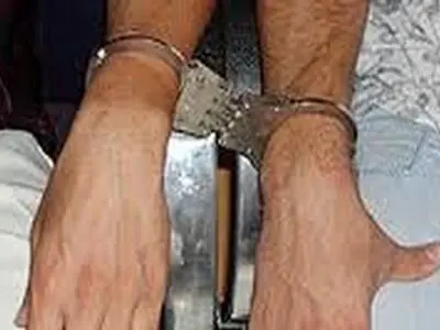 دستگیری باند سارقان پرنده‌های زینتی