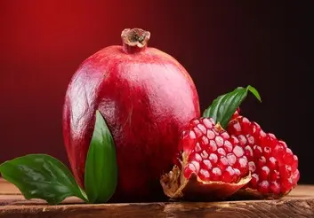 ظرفیت صادراتی ۱۵۰ هزار تنی انار کشور / هلند، آلمان و سوئد مشتریان اروپایی انار ایرانی