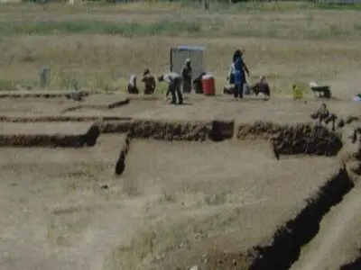 کشت یونجه و صیفی‌جات در محوطه تاریخی شکارگاه خسرو