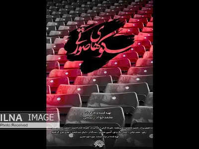 باید ابتدا امنیت خانم‌ها برای ورود به ورزشگاه فراهم شود/ اگر امکان تامین امنیت نیست باید بازی‌ها را تعطیل کنند/ ورود به ورزشگاه زن و مرد ندارد