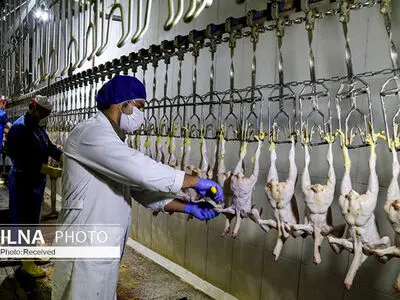 اولین کشتارگاه صنعتی تمام اتوماتیک شرق کشور نیازمند تسهیلات