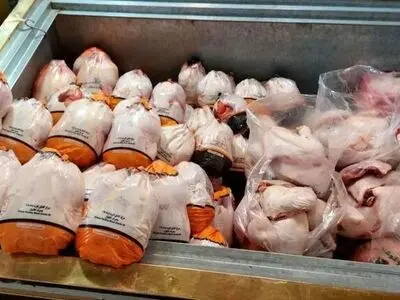 آغاز اجرایی شدن طرح تولید گوشت مرغ منجمد در استان مرکزی