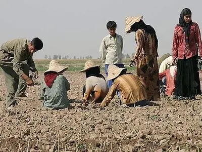 کسب و کار تعاونی‌های روستایی و عشایری رونق گرفت