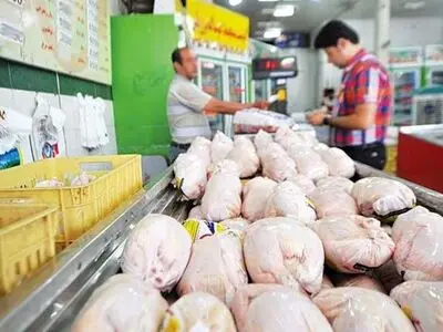توزیع مرغ بیش از نیاز بازار در استان مرکزی 