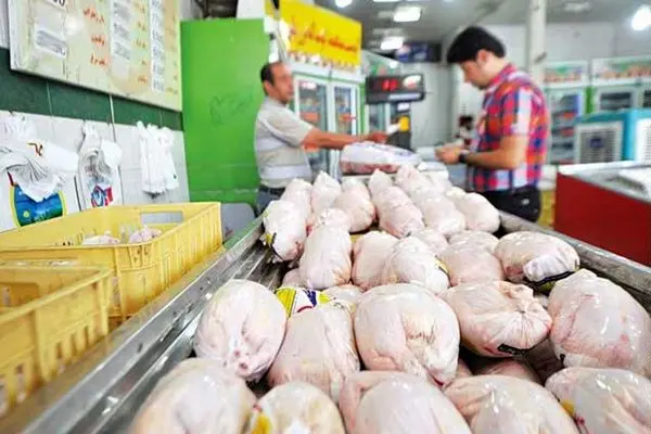 توزیع مرغ بیش از نیاز بازار در استان مرکزی 
