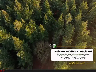 نمایشگاه عکس و فیلم «ثبت جهانی جنگل‌های هیرکانی» تمدید شد