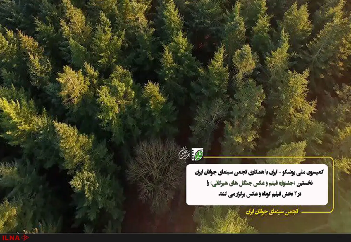 نمایشگاه عکس و فیلم «ثبت جهانی جنگل‌های هیرکانی» تمدید شد