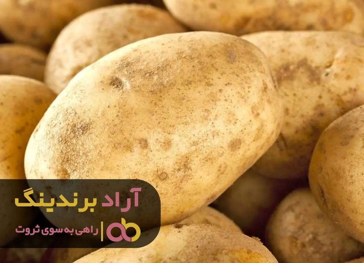 کلید موفقیت مالی را کجا پیدا کنم