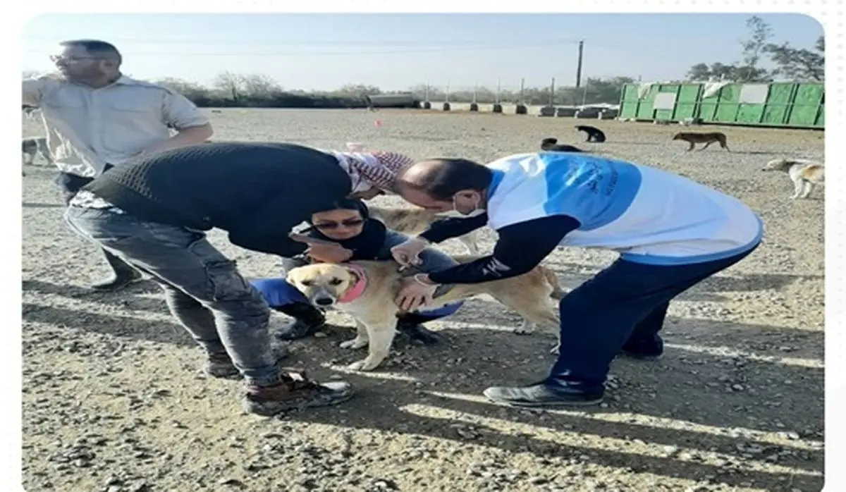 هشدار اداره کل دامپزشکی استان اردبیل در خصوص خطر شیوع بیماری تب برفکی به دامداران