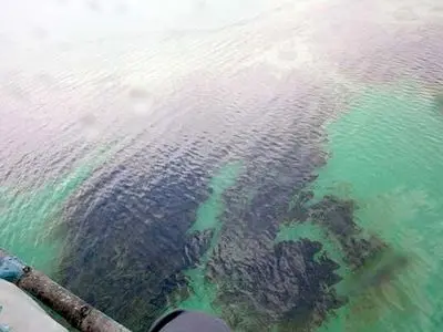 آلودگی نفتی در محدوده جزیره خارگ پاک سازی شد