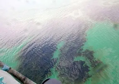 آلودگی نفتی در محدوده جزیره خارگ پاک سازی شد