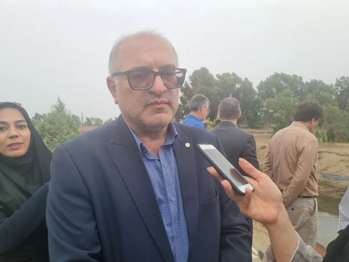 رقابت میگوی پرورشی ایران با محصولات جهانی از نظر قیمت و کیفیت 