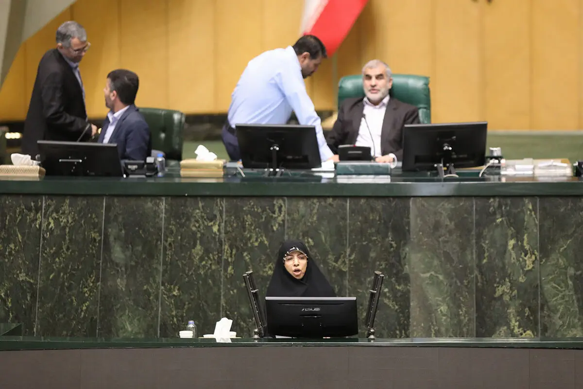 مجلس باید دژ بلند نظارت در برابر فساد اقتصادی باشد/ آتش تورم با تعارض منافع شعله‌ورتر شده است