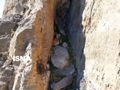 سکونتگاه حیرت‌انگیز بز کوهی در استان لرستان + فیلم