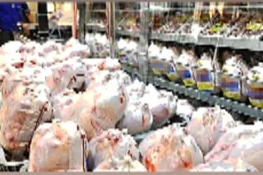 انبار ۴۰ تن مرغ احتکارشده در سردخانه ایوان لو رفت