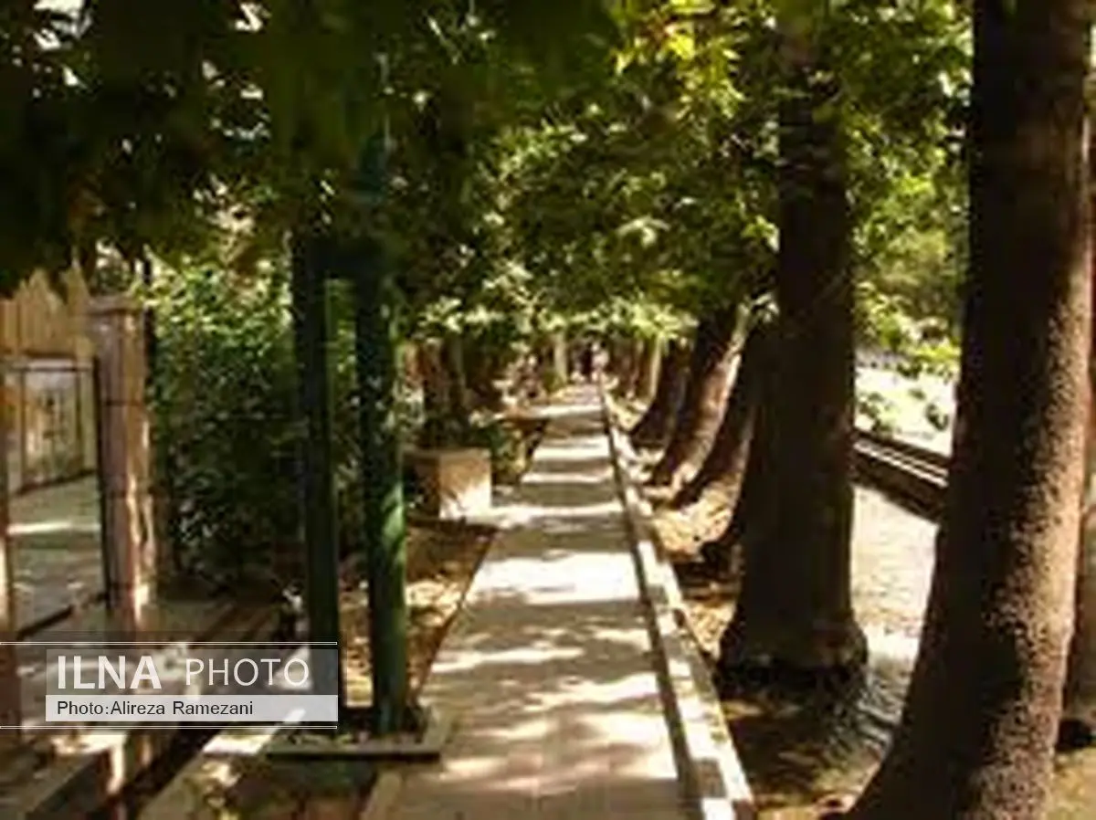 ارزش نیم میلیاردی درختان ولیعصر در تصفیه هوای پایتخت!
