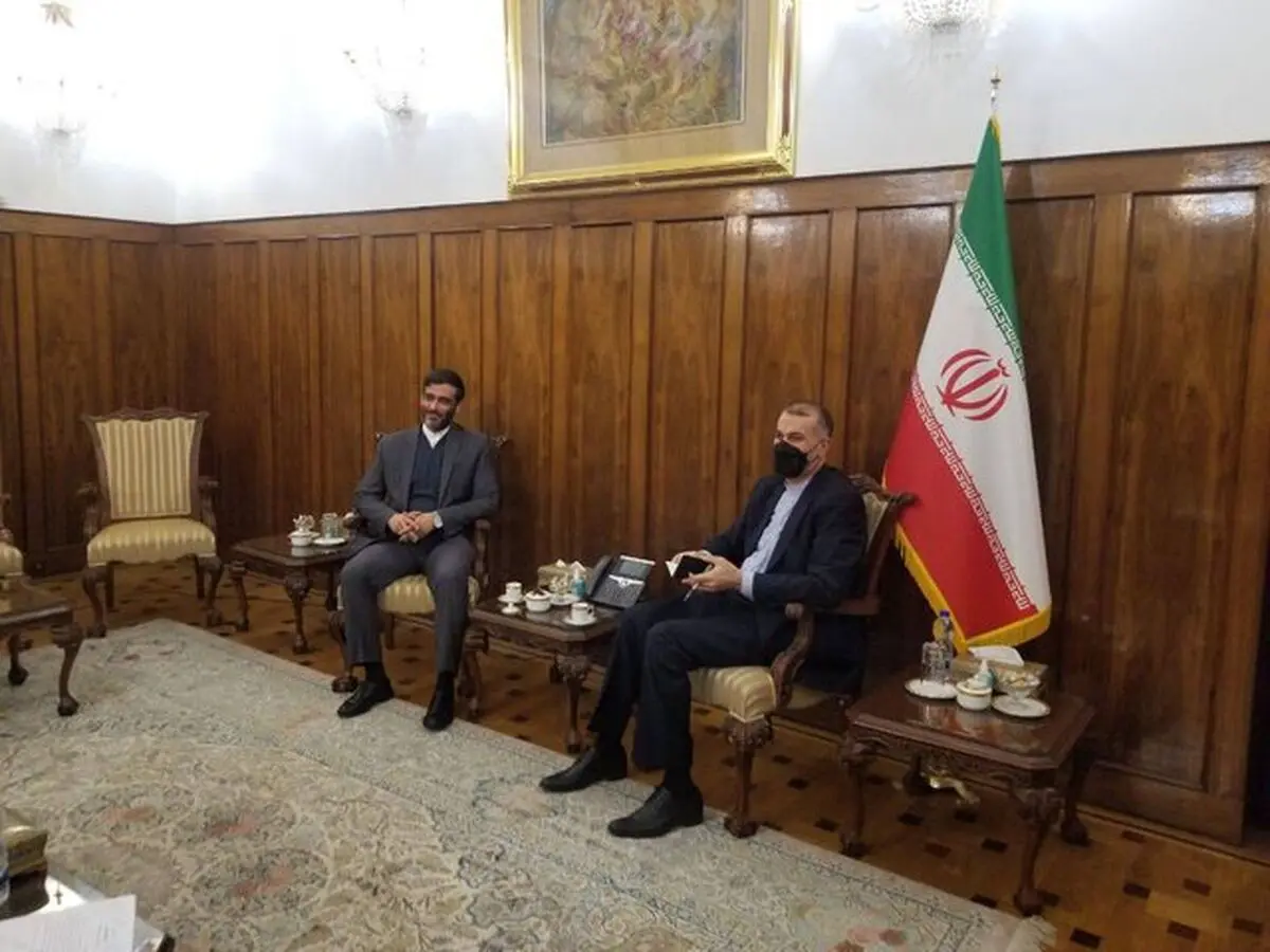 سعید محمد با امیرعبدالهیان دیدار کرد