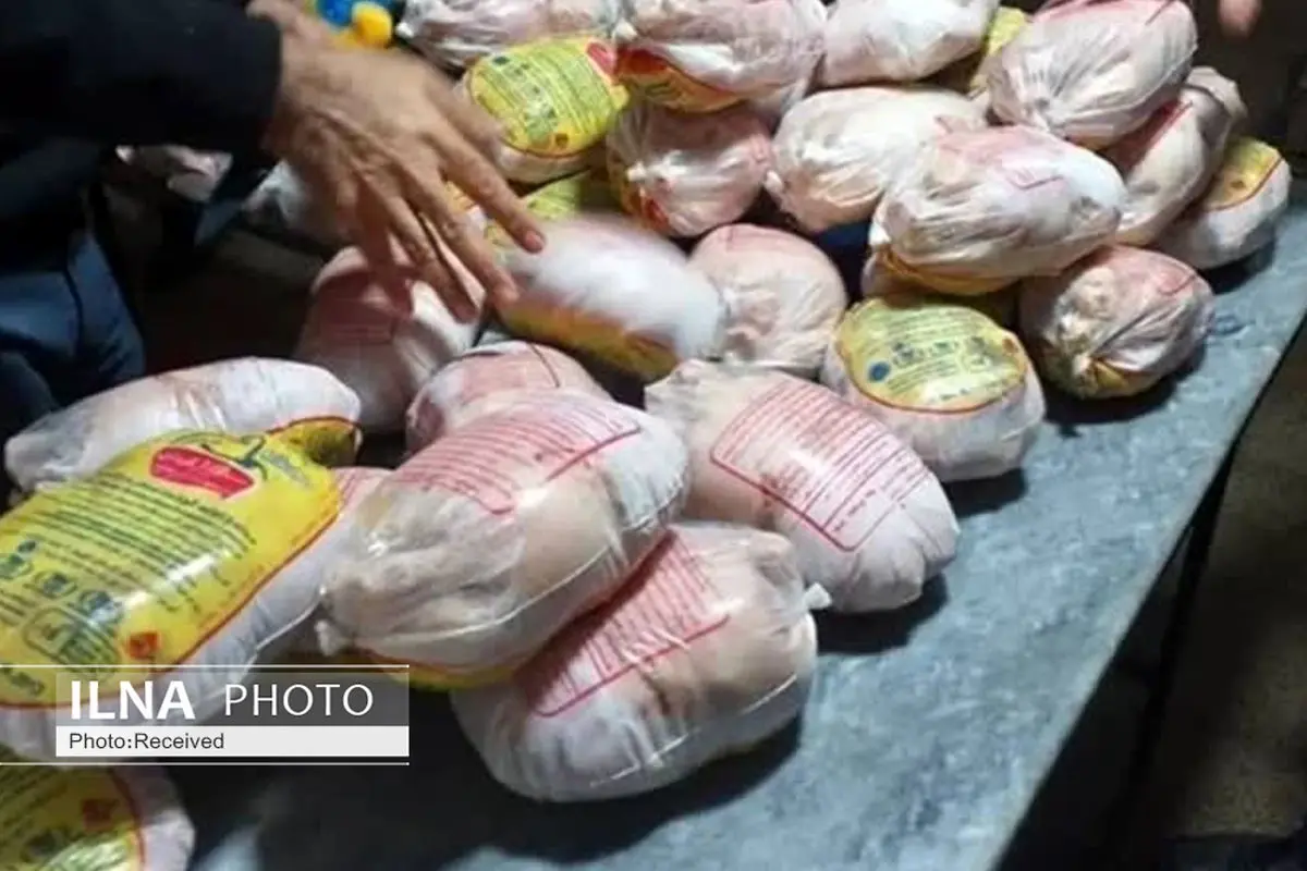 کشف 130 کیلو مرغ منجمد تاریخ گذشته در یک سرد خانه آبیک
