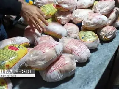 کشف 130 کیلو مرغ منجمد تاریخ گذشته در یک سرد خانه آبیک
