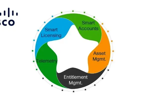 Cisco License
