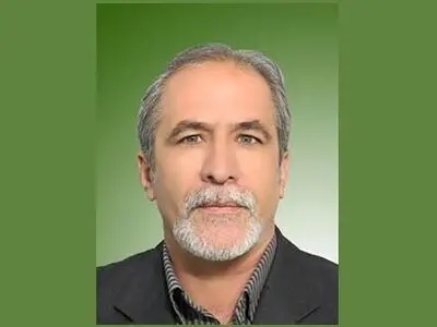 ضرورت تغییر ریل‌گذاری مجلس در مسائل جامعه کارگری