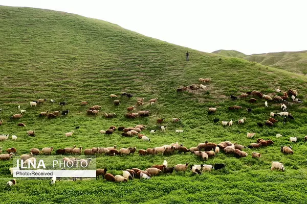تولید یک مترمکعب خاک به ۷۰۰ سال زمان نیاز دارد لذا باید مانع از فرسایش خاک شویم