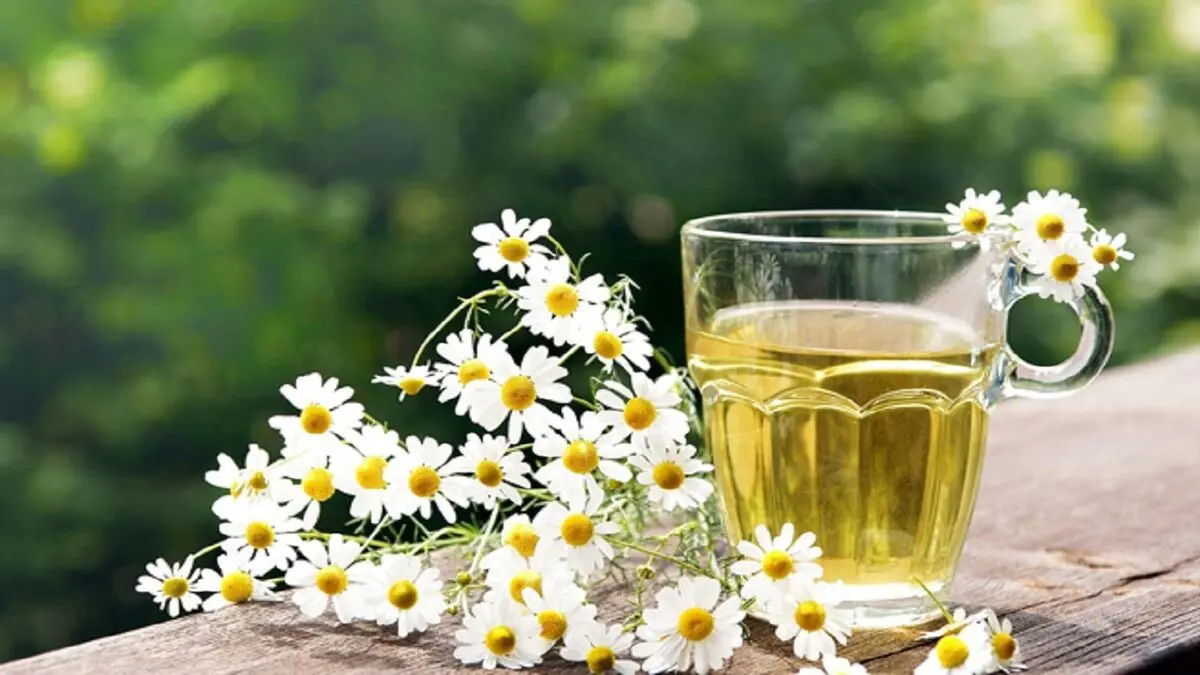 خواص بی نظیر بابونه در طب سنتی