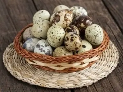 فواید شگفت انگیز تخم بلدرچین برای کودکان