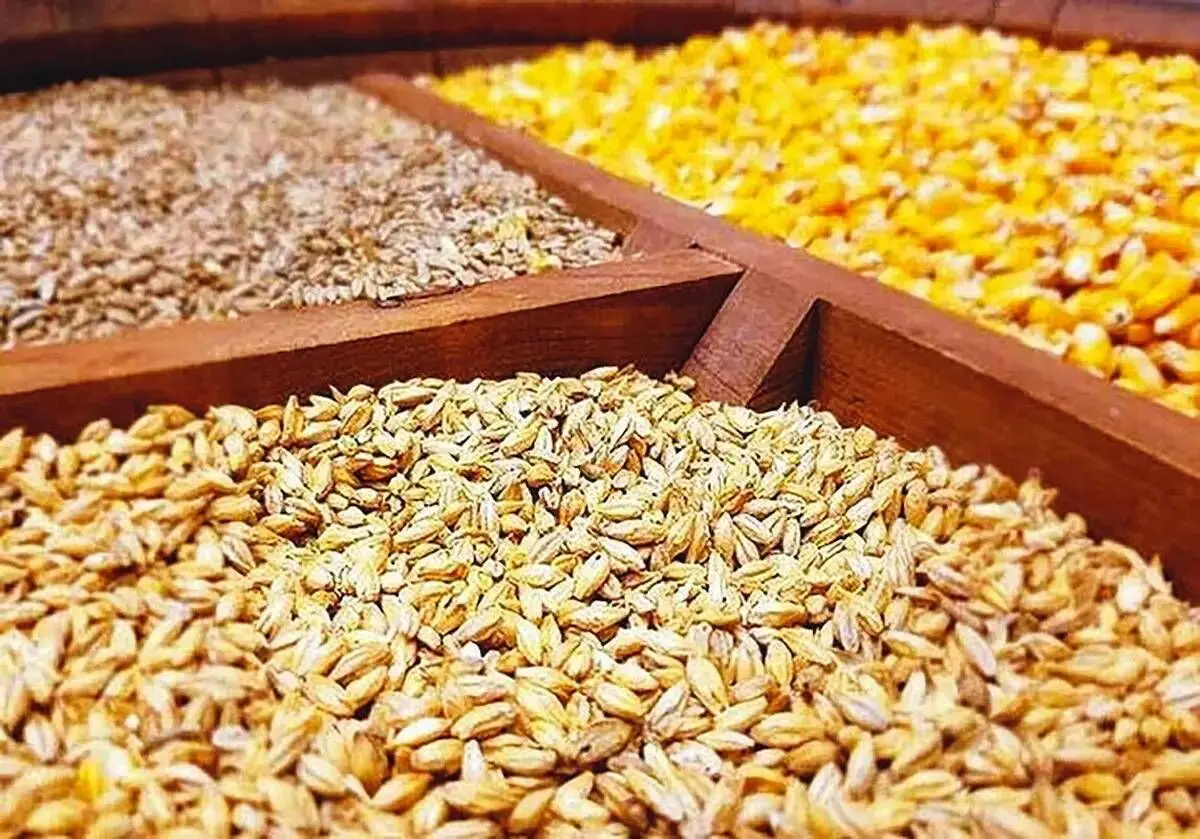 ادامه خالی فروشی در سامانه بازارگاه/ جولان دلالان موجب شکست سامانه شد 