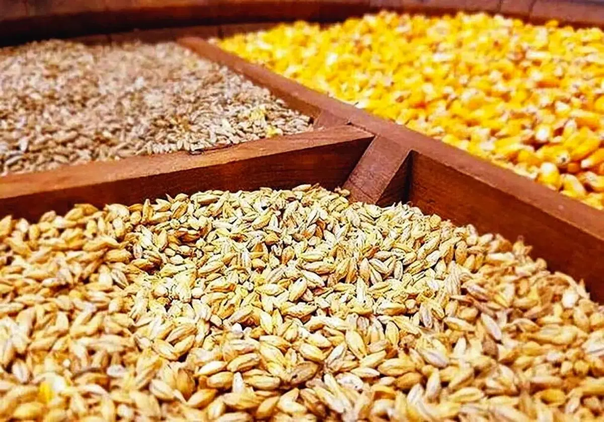 ادامه خالی فروشی در سامانه بازارگاه/ جولان دلالان موجب شکست سامانه شد 