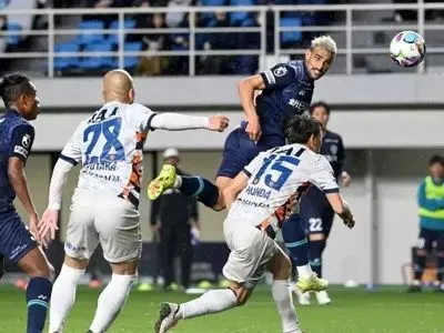 گل دیرهنگام زاهدی برای آویسپا