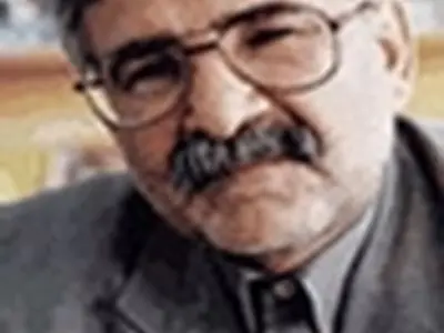 شعرها به تصویرهای بی‌تفکر تبدیل شده‌اند