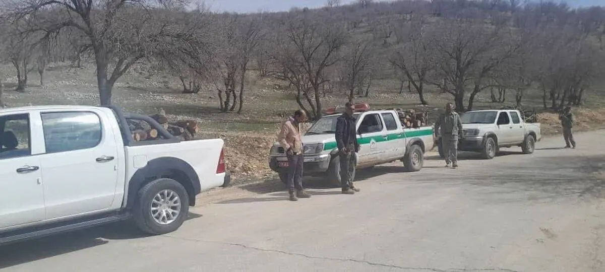 ​کشف و ضبط ۴۲۰۰ کیلوگرم هیزم جنگلی بلوط در شهرستان شیراز  