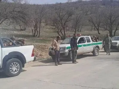 ​کشف و ضبط ۴۲۰۰ کیلوگرم هیزم جنگلی بلوط در شهرستان شیراز  