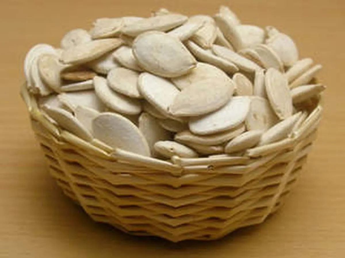 خواص عجاب انگیز تخمه کدو